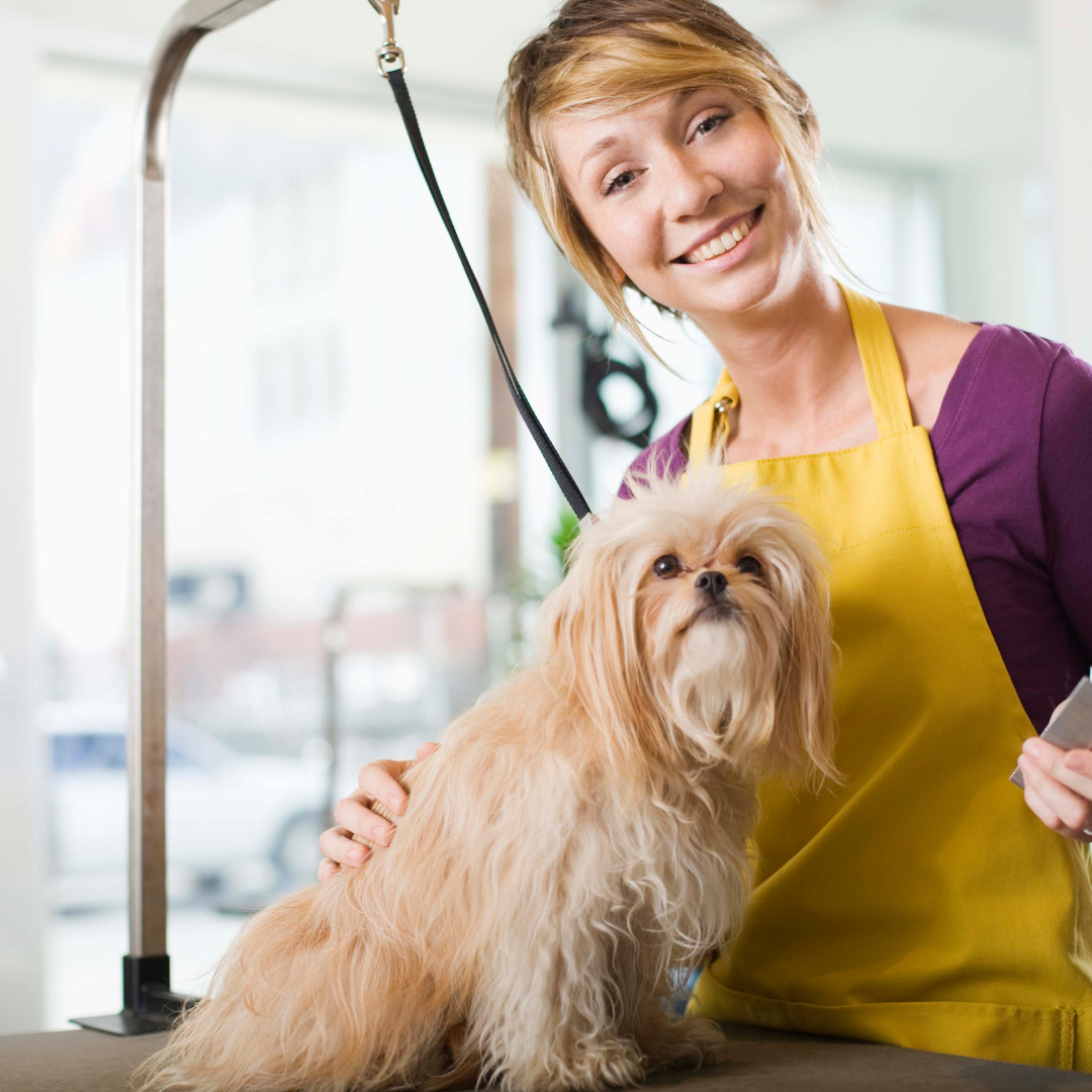 Who Wants To A Dog Groomer? Julie Harris Groomer