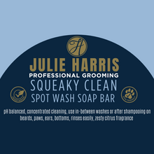 Load image into Gallery viewer, Squeaky Spot Wash Soap X 3 + Bag