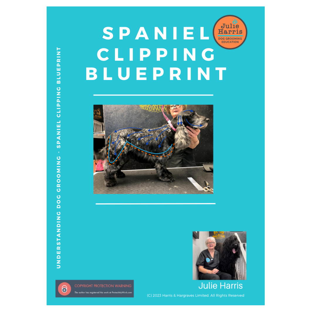 Spaniel Clipping Blueprint - Workbook