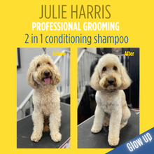 Load image into Gallery viewer, Purify & Nourish 2 in 1 Shampoo - 5L