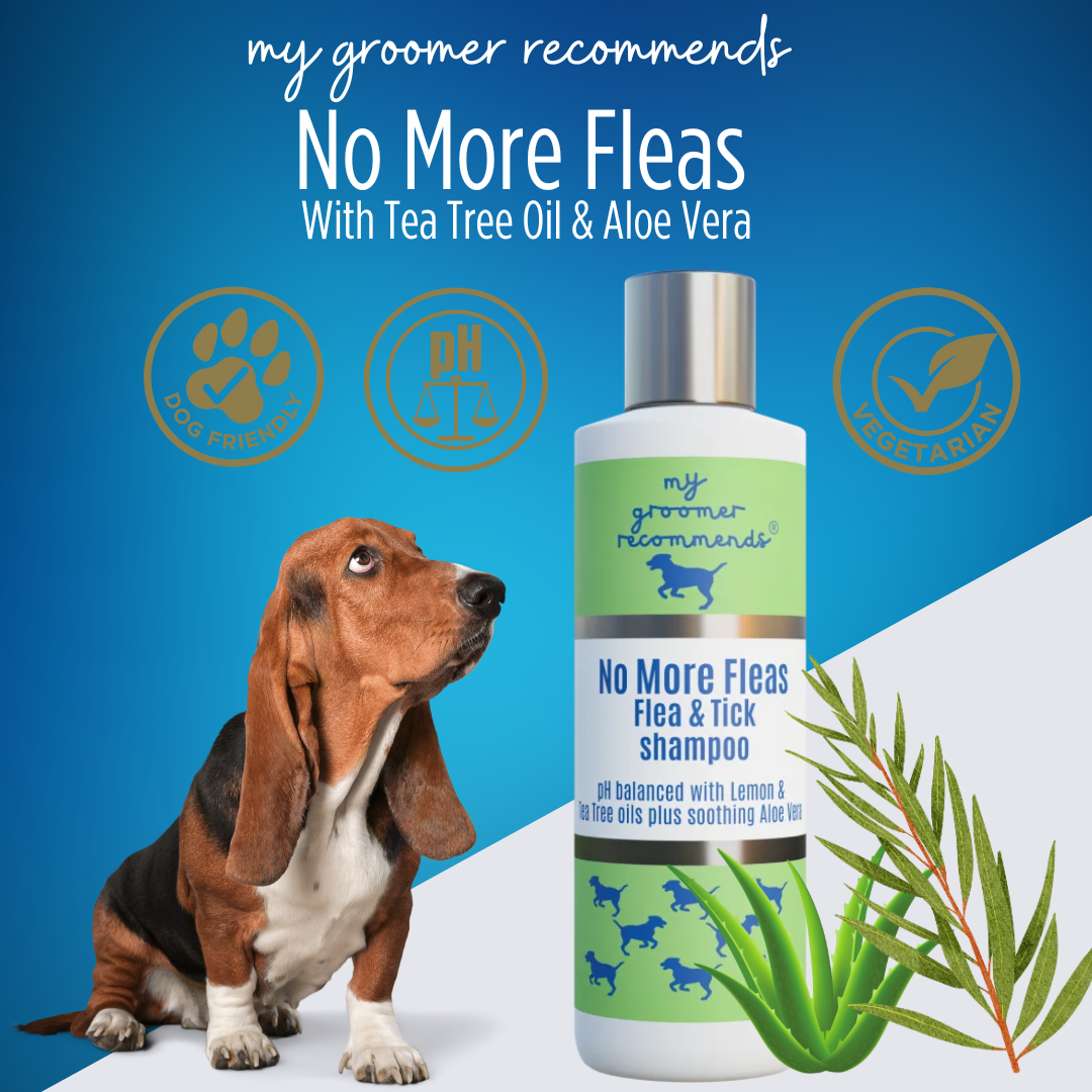 My Groomer Recommends No More Fleas & Ticks Shampoo - 250ml - Save