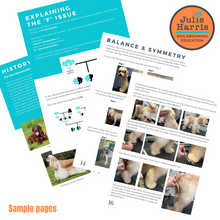 Load image into Gallery viewer, Doodles & Cockapoos Grooming Blueprint digital book
