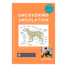 Load image into Gallery viewer, Uncovering Angulation paperback book