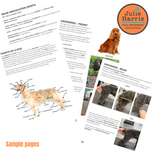 Load image into Gallery viewer, Uncovering Angulation paperback book