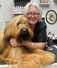 Load image into Gallery viewer, Purify & Nourish 2 in 1 Shampoo - 5L