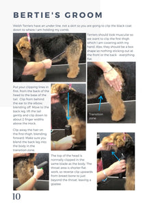 Long-Legged Terrier Blueprint - Workbook