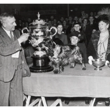 Load image into Gallery viewer, Spaniel Blueprint Short Online Course