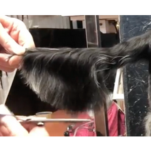 Load image into Gallery viewer, Spaniel Blueprint Short Online Course