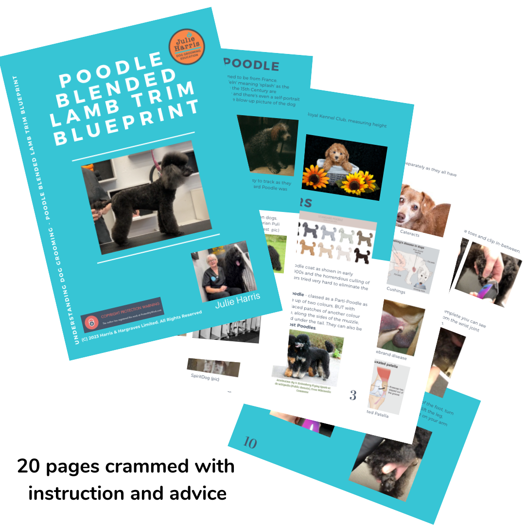 Poodle Lamb Trim Blueprint - Digital Book – Julie Harris Groomer