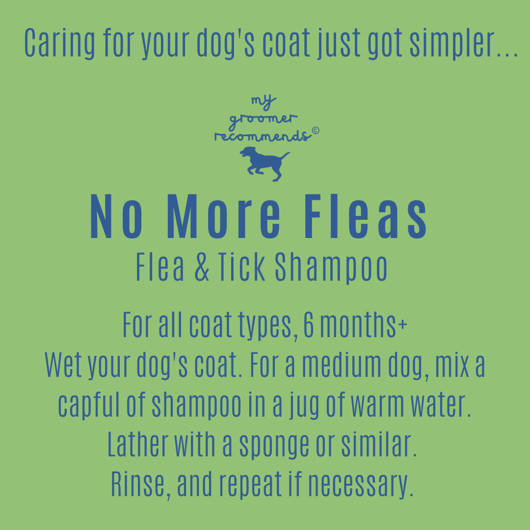 Groomer's blend flea and tick shampoo sale