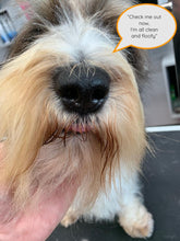 Load image into Gallery viewer, Squeaky Spot Wash Soap + Sisal Bag