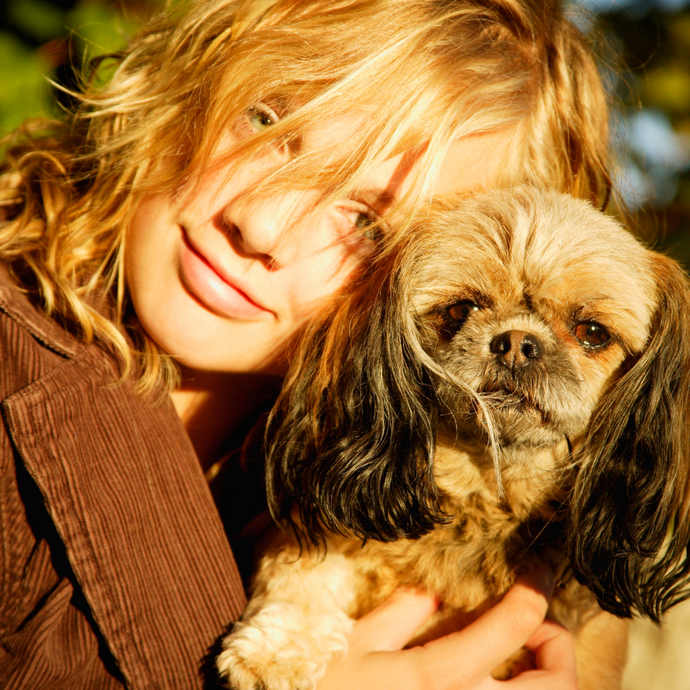Dog Ownership - the legal obligations