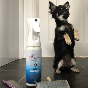 Huge Increase in Dog Ownership = Busy, Busy Dog Groomers