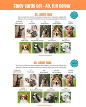 Load image into Gallery viewer, Study Cards - Digital copy
