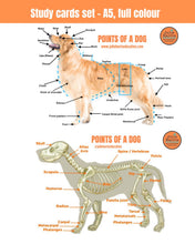 Load image into Gallery viewer, Study Cards - Digital copy
