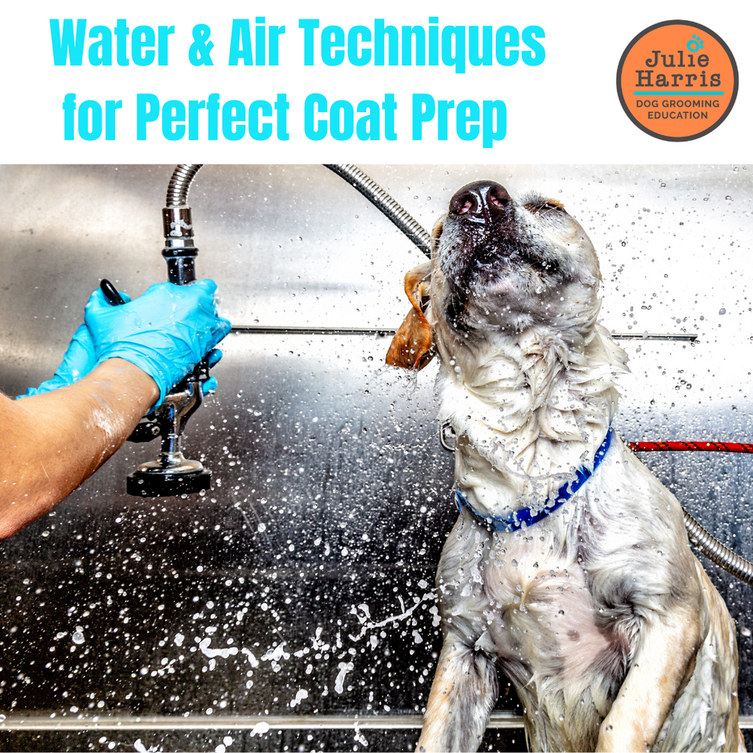 FREE Julie Harris Education - Optimising Coat Prep with Water & Air webinar