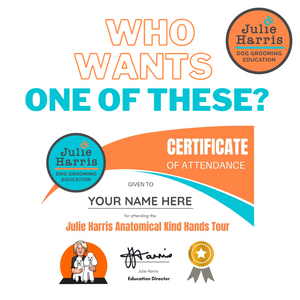 Julie Harris Kind Hands Tour - Derby College Group - Monday 5th February 2024