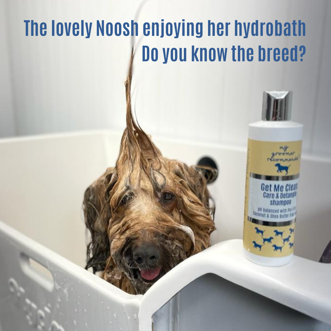 Groomers detangle shampoo hot sale