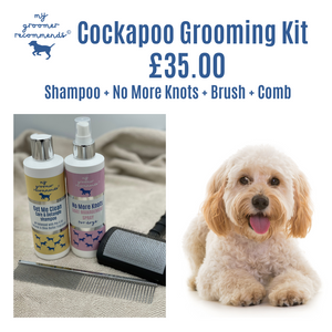Cockapoo Kit Julie Harris Groomer