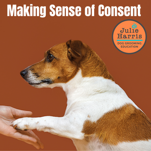Making Sense of Consent
