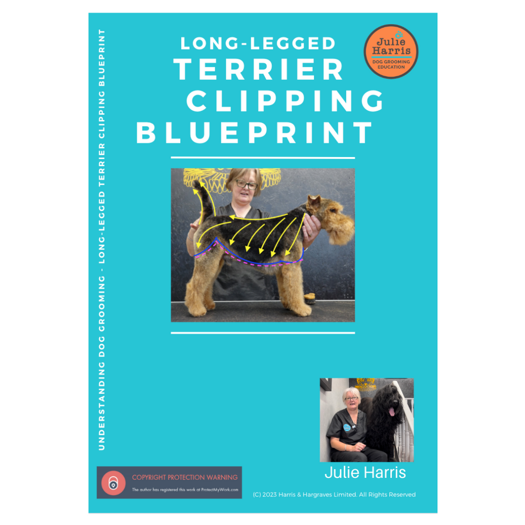 Long-Legged Terrier Blueprint - Workbook