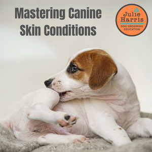 Julie Harris Education - Mastering Canine Skin Conditions Webinar