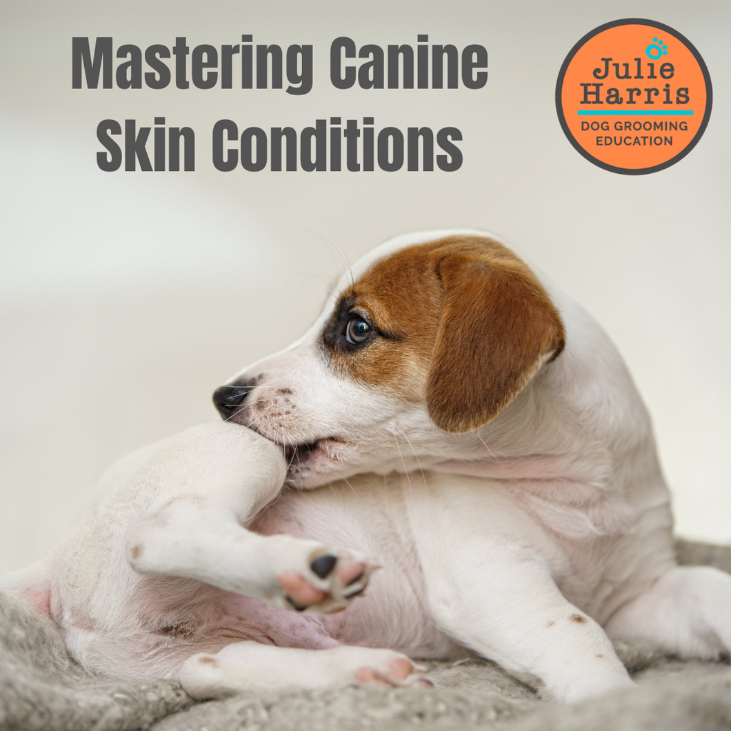 Julie Harris Education - Mastering Canine Skin Conditions Webinar