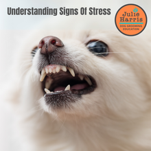 Load image into Gallery viewer, FREE Julie Harris Education - Understanding Signs of Stress Webinar
