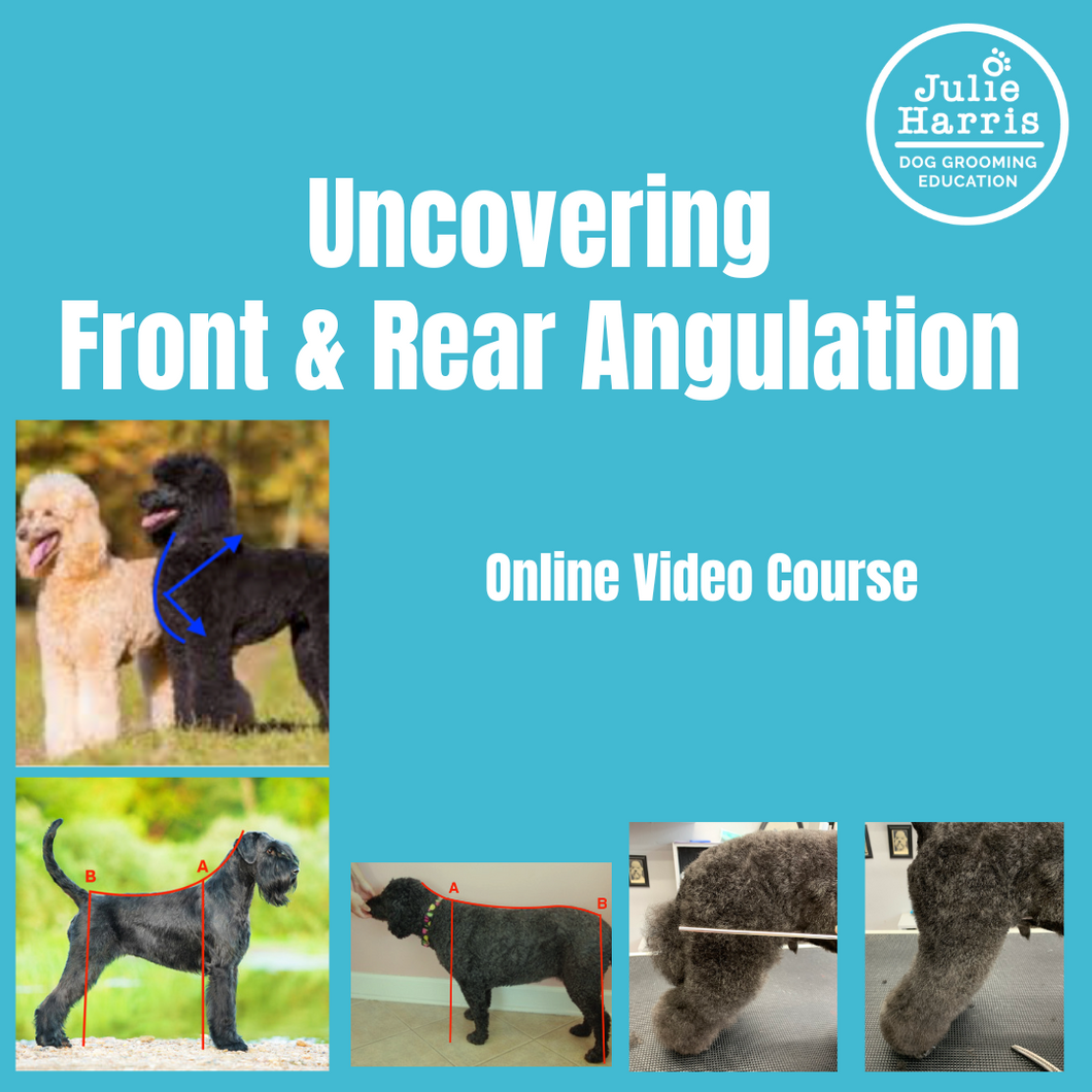Julie Harris Education Uncovering Angulation Online Course