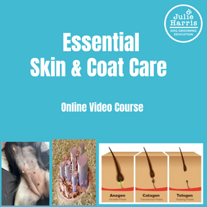 Julie Harris Education Dog Skin & Coat Care Online Course