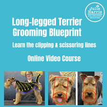 Load image into Gallery viewer, Julie Harris Education Long-Legged Terrier Blueprint Online Course
