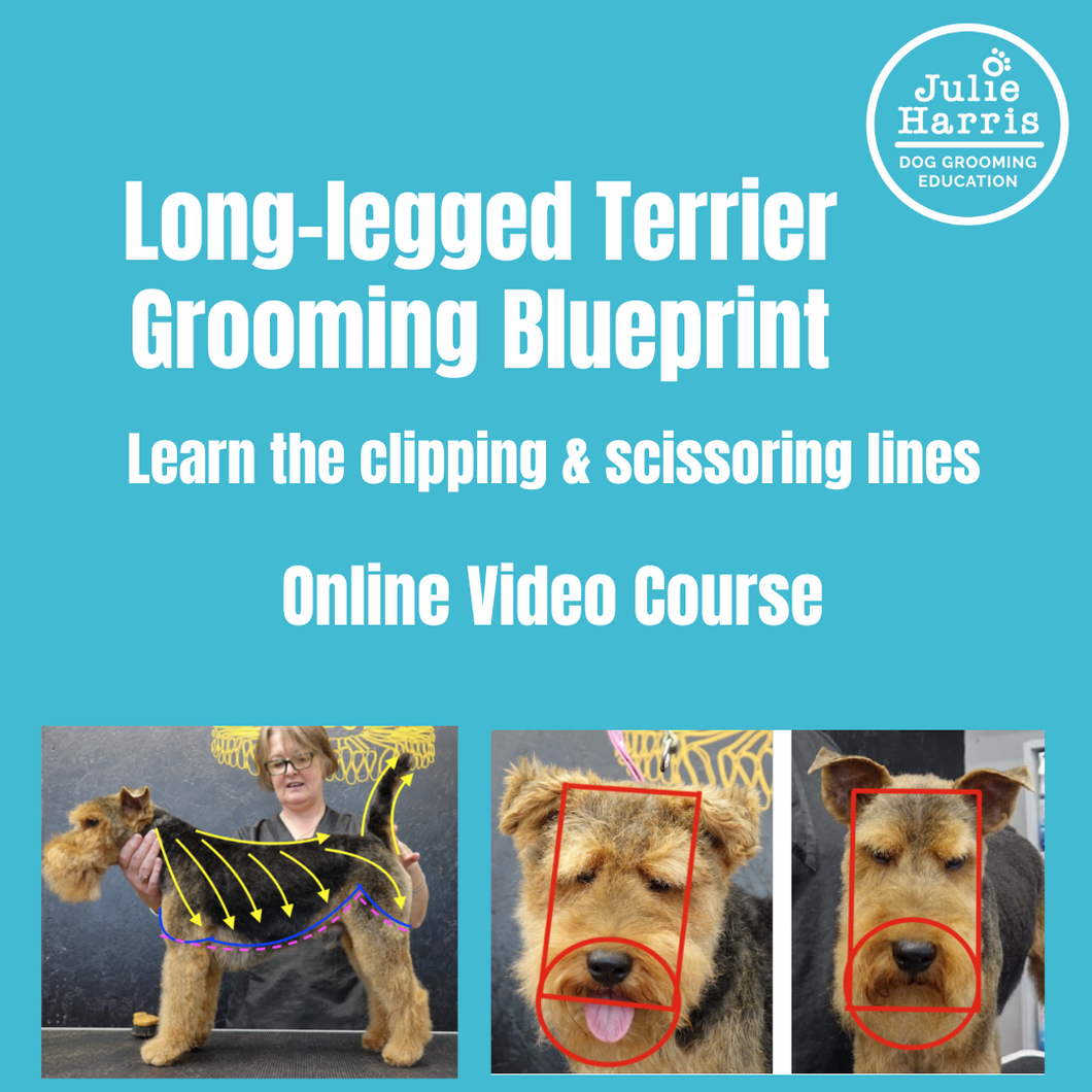 Julie Harris Education Long-Legged Terrier Blueprint Online Course