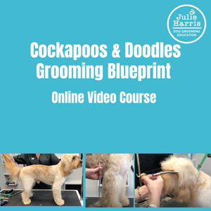 Cockapoo Doodles Online Grooming Course CPD Accredited – Julie