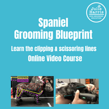 Load image into Gallery viewer, Julie Harris Education Spaniel Blueprint Short Online Course
