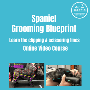 Online Spaniel Grooming Course CPD Accredited – Julie Harris Groomer