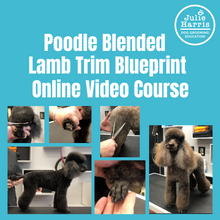 Load image into Gallery viewer, Julie Harris Education Poodle Lamb Trim Blueprint online course
