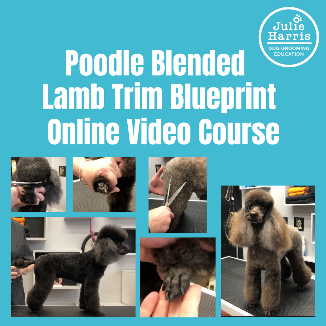 Julie Harris Education Poodle Lamb Trim Blueprint online course