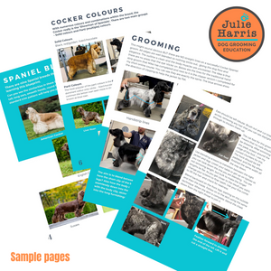 Julie Harris Education Spaniel Grooming Blueprint digital book