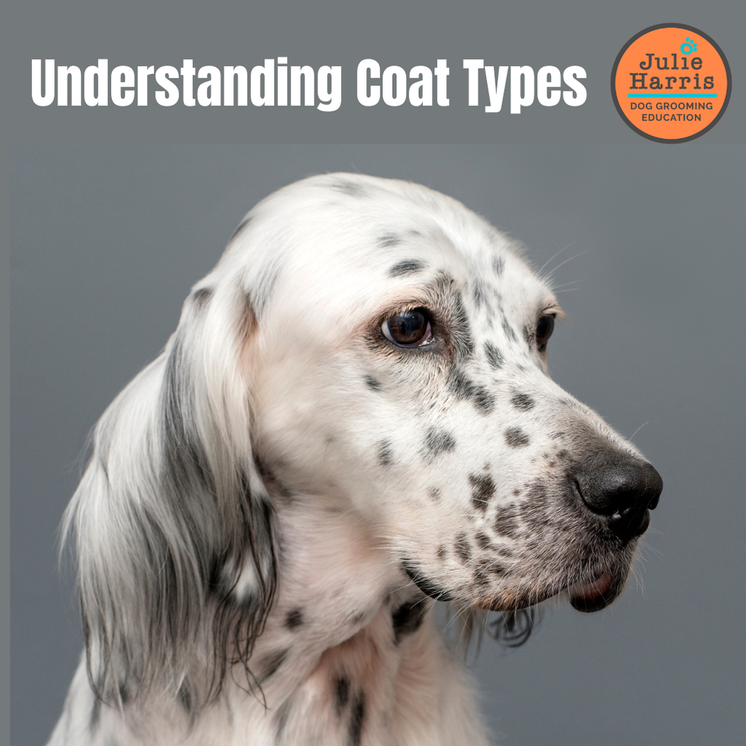 Julie Harris Education - Understanding Coat Types Webinar