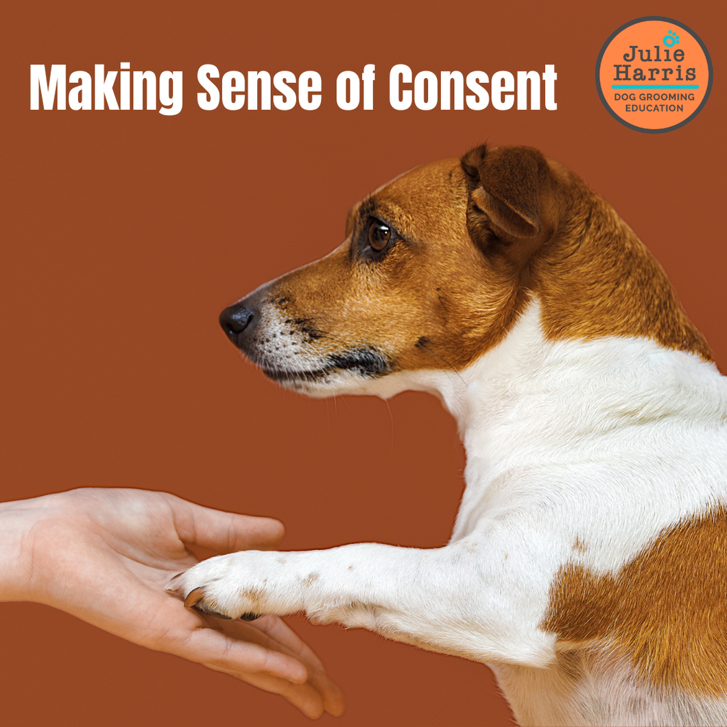 Julie Harris Education - Making Sense of Consent Webinar