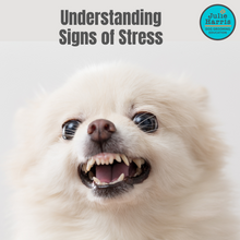 Load image into Gallery viewer, FREE Julie Harris Education - Understanding Signs of Stress Webinar
