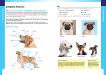Load image into Gallery viewer, Julie Harris Education - A Dog Groomer&#39;s Guide - Canine Anatomy, Skin, Coats, Health &amp; First Aid
