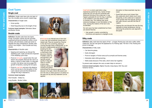 Julie Harris Education - A Dog Groomer's Guide - Canine Anatomy, Skin, Coats, Health & First Aid