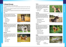Load image into Gallery viewer, Julie Harris Education - A Dog Groomer&#39;s Guide - Canine Anatomy, Skin, Coats, Health &amp; First Aid
