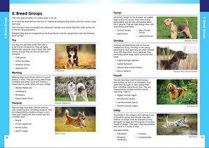 Julie Harris Education - A Dog Groomer's Guide - Canine Anatomy, Skin, Coats, Health & First Aid
