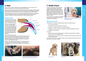 Julie Harris Education - A Dog Groomer's Guide - Canine Anatomy, Skin, Coats, Health & First Aid