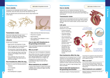 Load image into Gallery viewer, Julie Harris Education - A Dog Groomer&#39;s Guide - Canine Anatomy, Skin, Coats, Health &amp; First Aid
