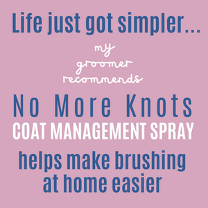 My Groomer Recommends No More Knots Detangle Spray - 250ml