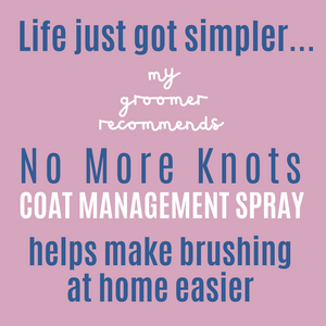 My Groomer Recommends No More Knots - 250ml - dog grooming detangle spray