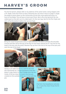 Spaniel Clipping Blueprint - Workbook